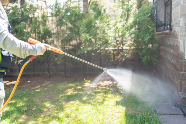 Best Rodent Control (Mice, Rats)  in Basile, LA